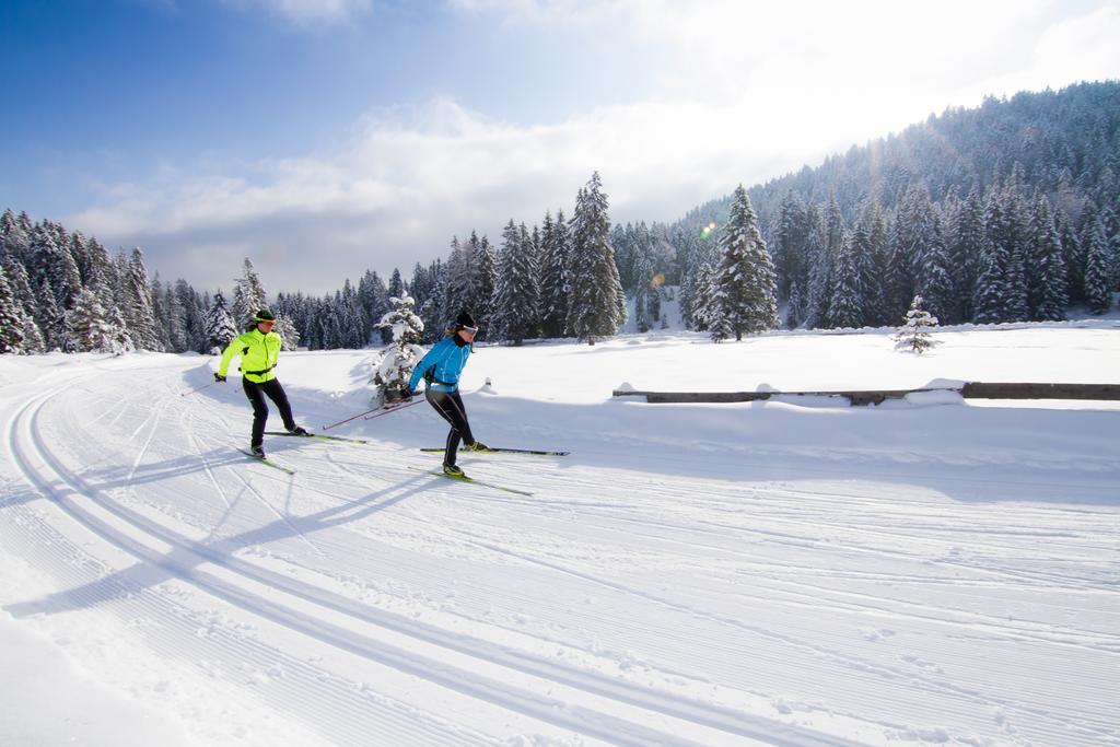 Apartmán Alpineas Leutasch Pokoj fotografie
